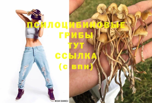 дживик Покровск