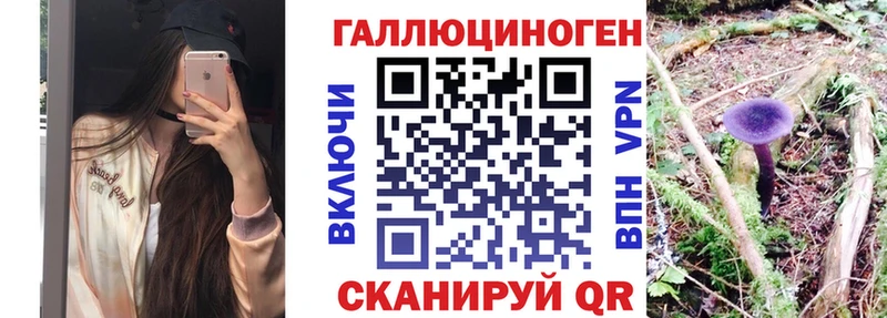 Купить где  Нарткала  Псилоцибиновые грибы Psilocybe 
